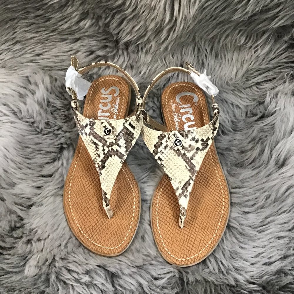 Circus | Women's Sandals | Snake Skin | Carolina | Various Sizes
